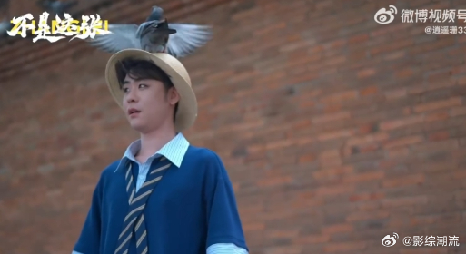 张云雷戴了一头鸟 哇哦！张云雷戴着一头鸟的画面太治愈啦！把食物放在帽子上等鸽子，