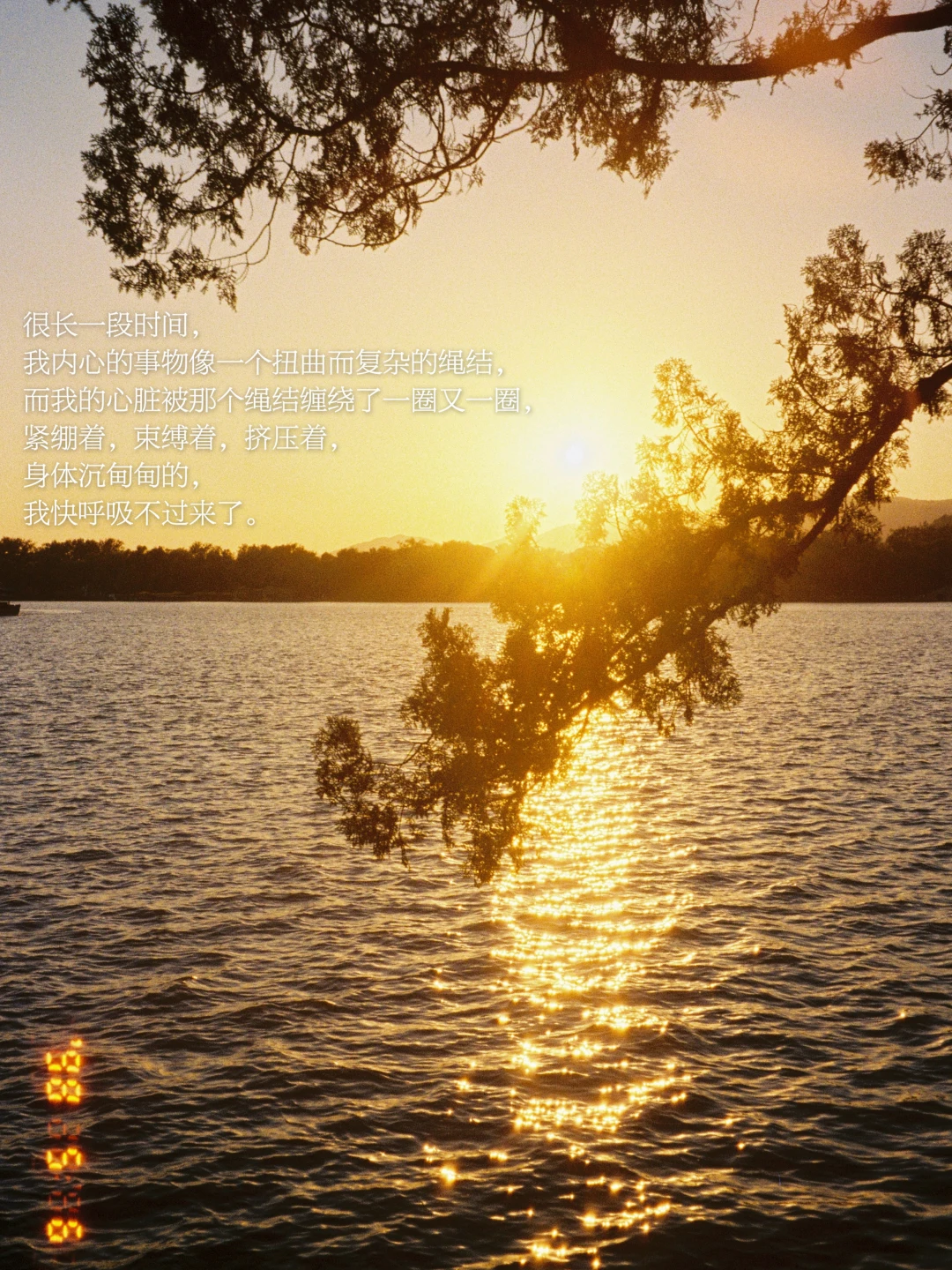 自然的、简单的、纯粹的事物是我生命的养分