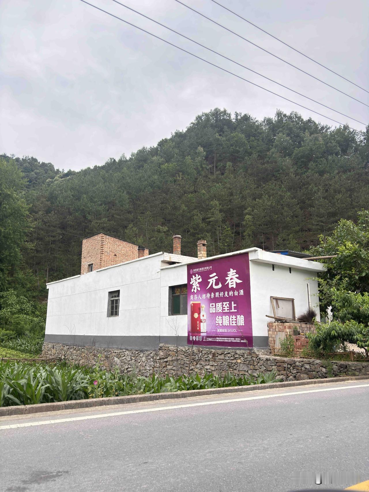 商洛这个紫元春酒，在商洛的路边经常看到这广告，这酒在商洛本地很有名气吧，酒价格贵