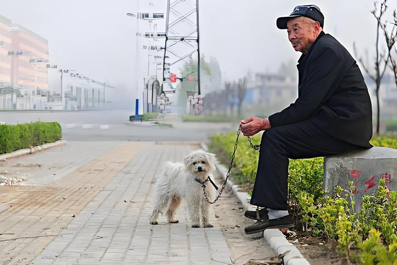 束手无策！我是1960年生人，已经退休2年了，每月的退休金有7200，现在住在我