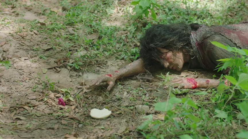 重刷《长相思》：明明涂山璟生命奄奄一息，为什么却还在饼与花之间拿起一束花

在剧