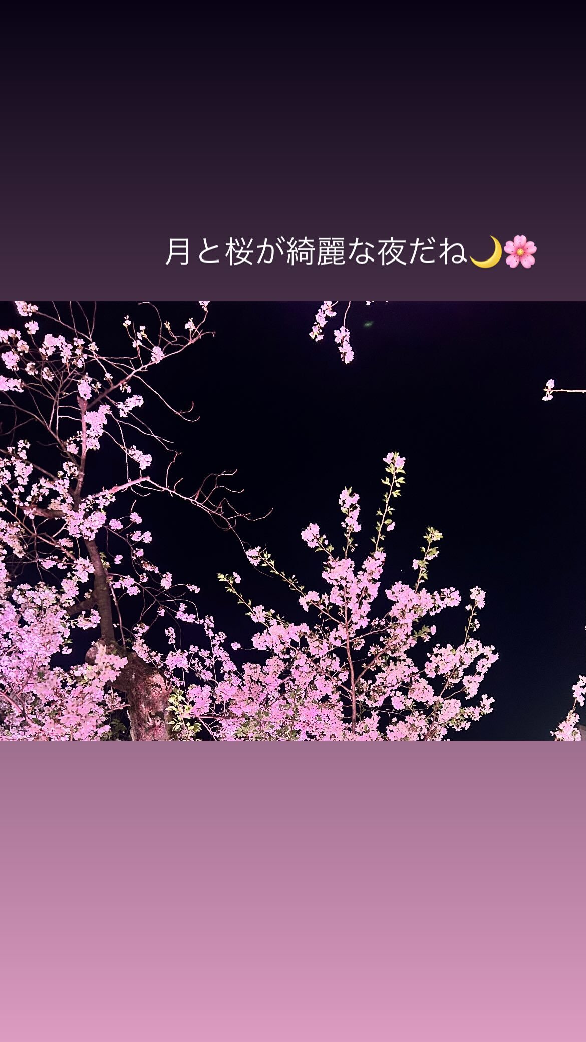 伊藤理々杏  　ririagram