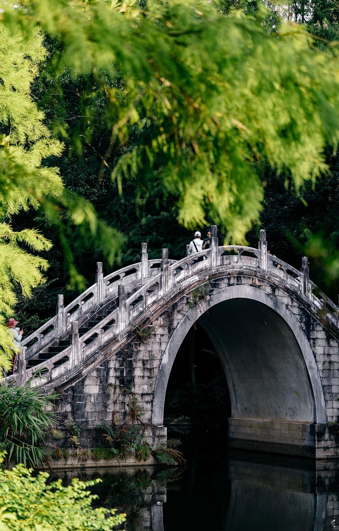 核心痛点：为什么你的股权份额只能“烂在锅里”？因为你的退出路径太单一！过去，基金