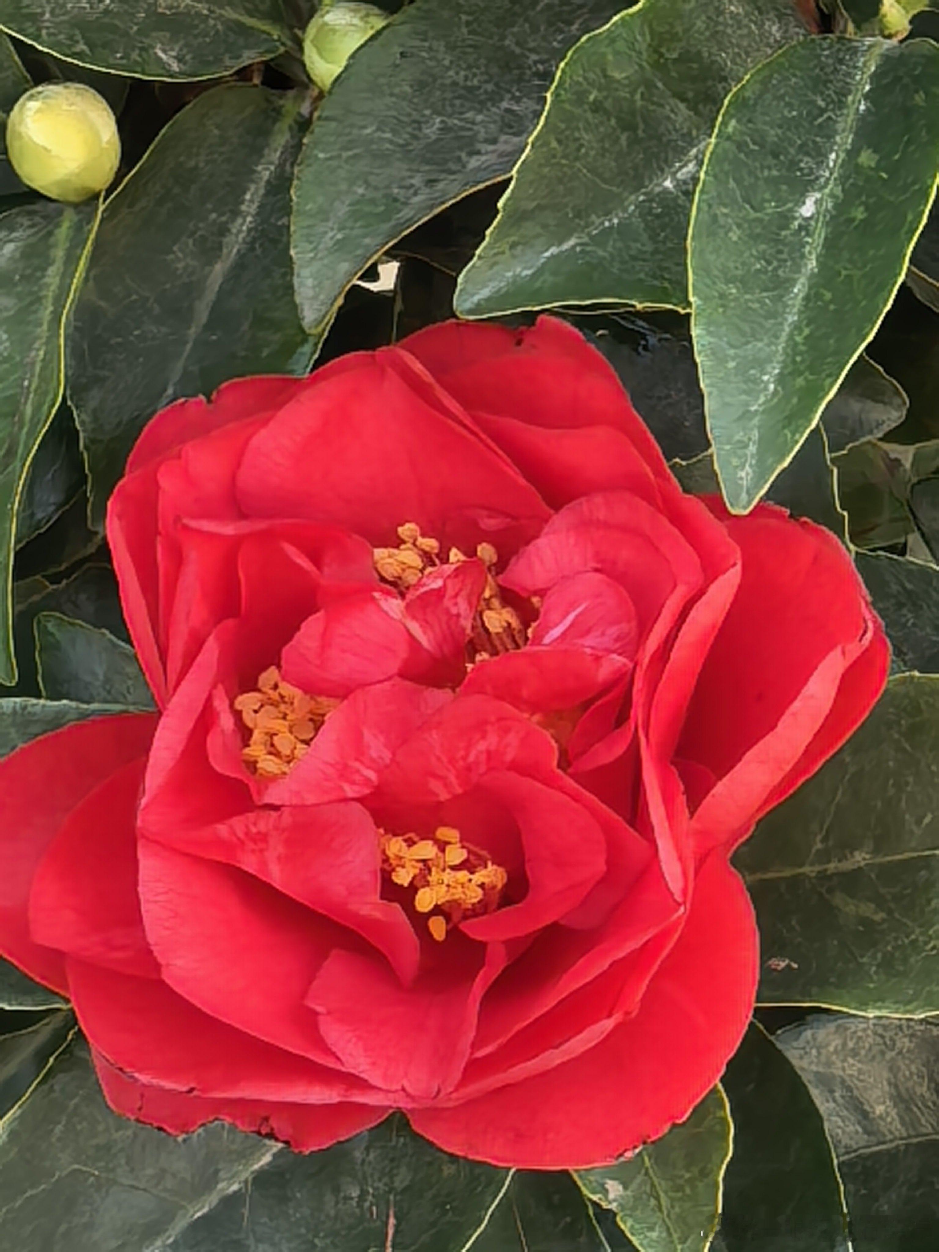 三岁懂事人生总去折腾不为哪件事没去做，哪笔钱没赚到没守住而感到遗憾。有人说人生是