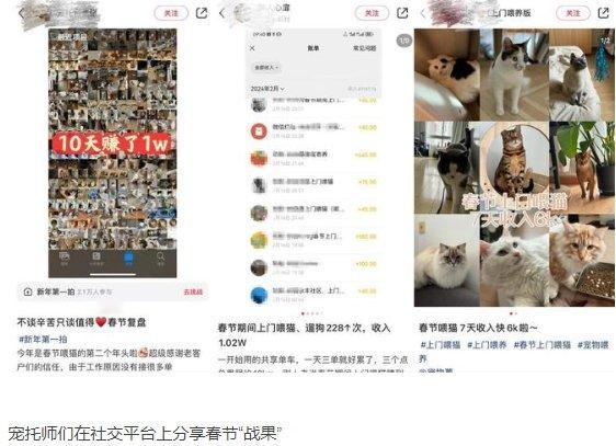 #有宠托师春节9天收入过万#【#年轻人流行搞副业过春节#：上门喂养宠物9天收入过