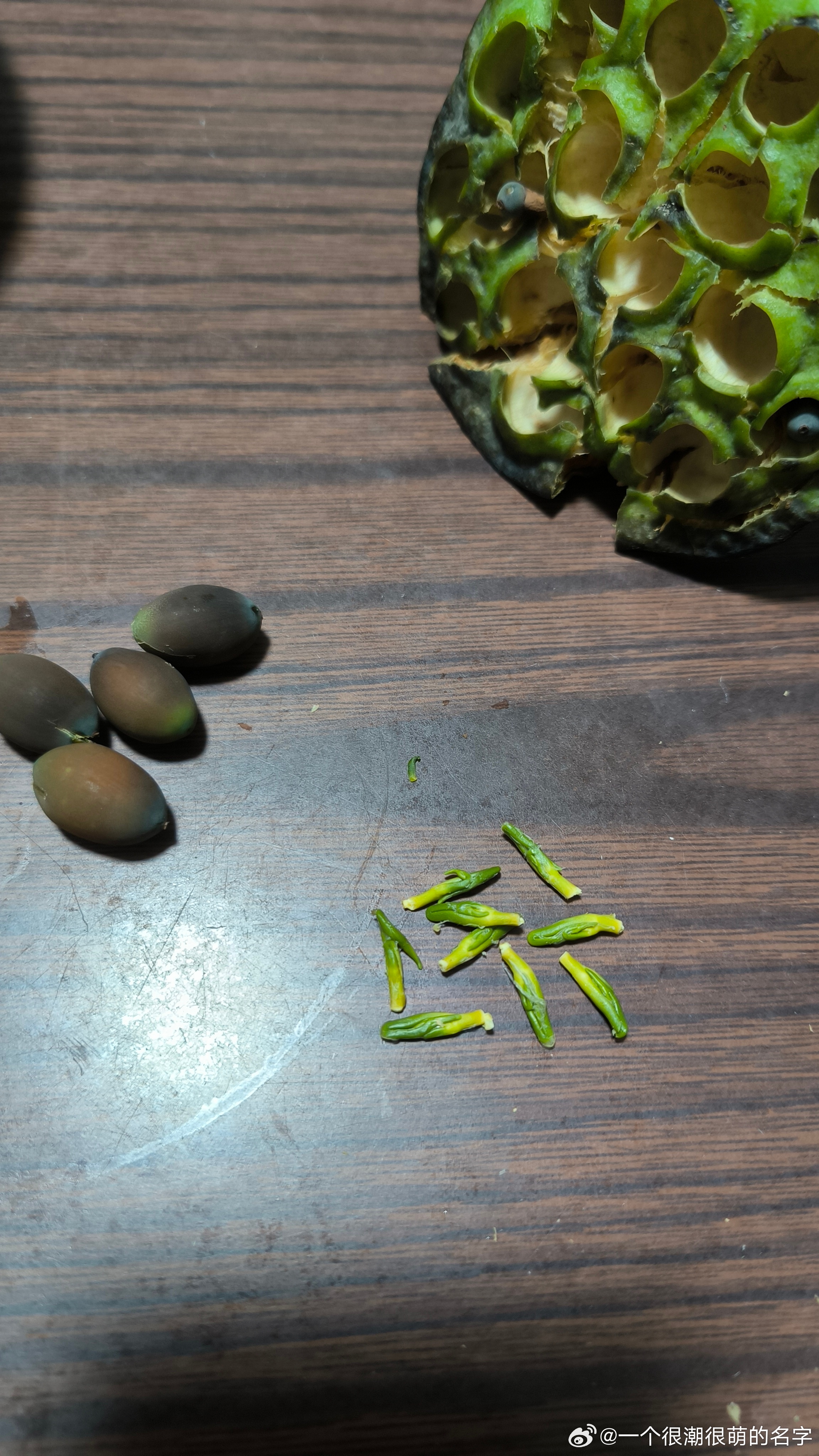 莲子好吃，莲芯真苦，就那么小小一个芽，为什么就那么苦呢。 