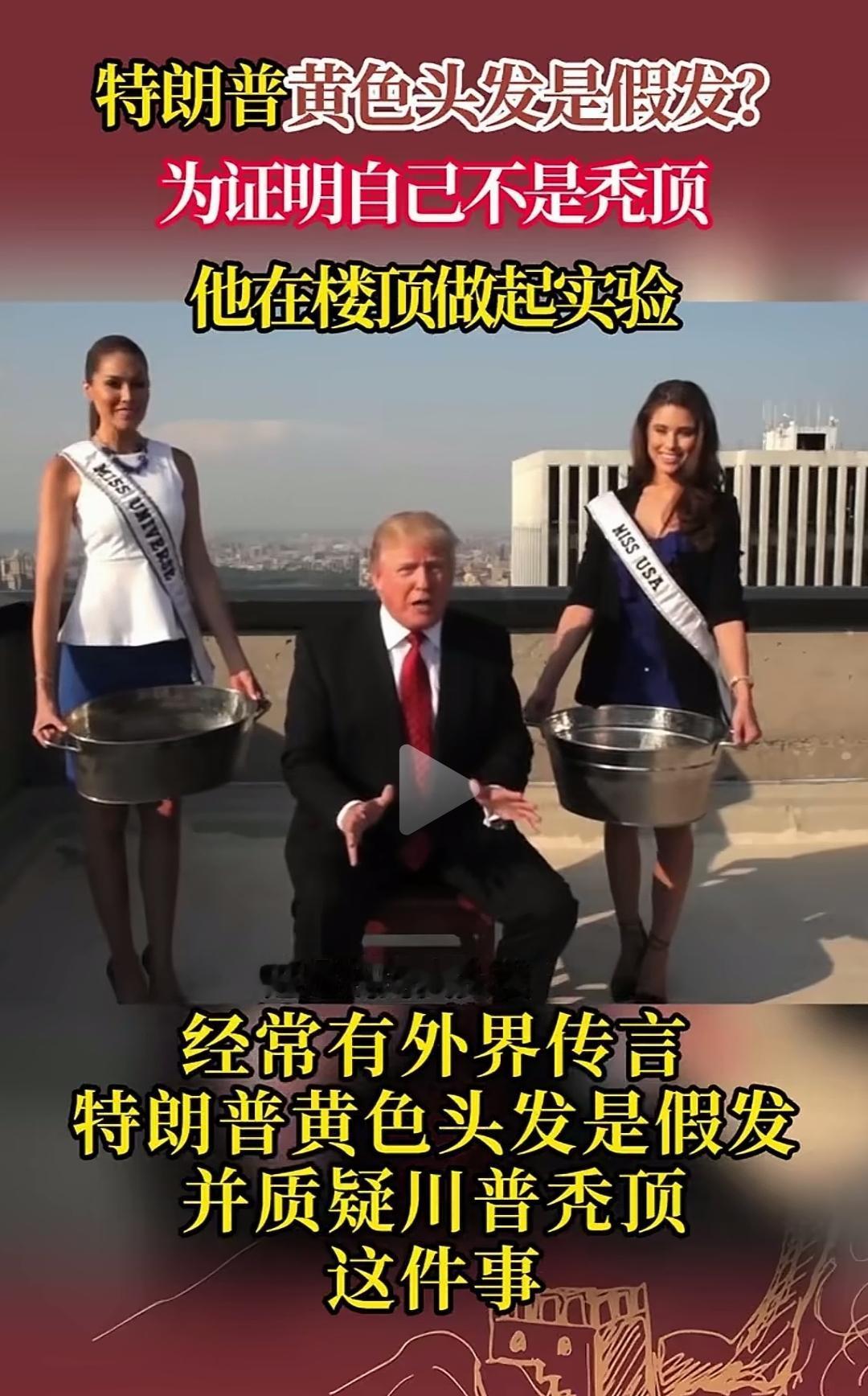税宗果然是懂整活儿的。谁在质疑他的金毛是假的啊，感觉没有人关注他这个啊。这么一搞