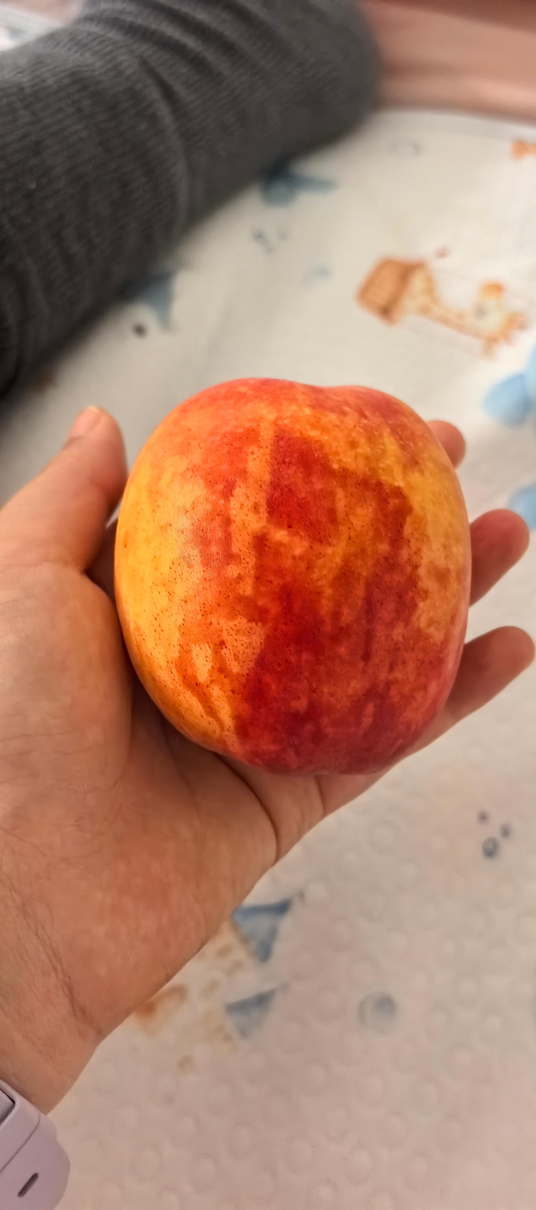 桃子外表明明是好的为啥核那一片有虫？每次吃桃都要小心翼翼，好烦 