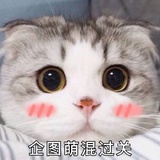 越宇热看科技
