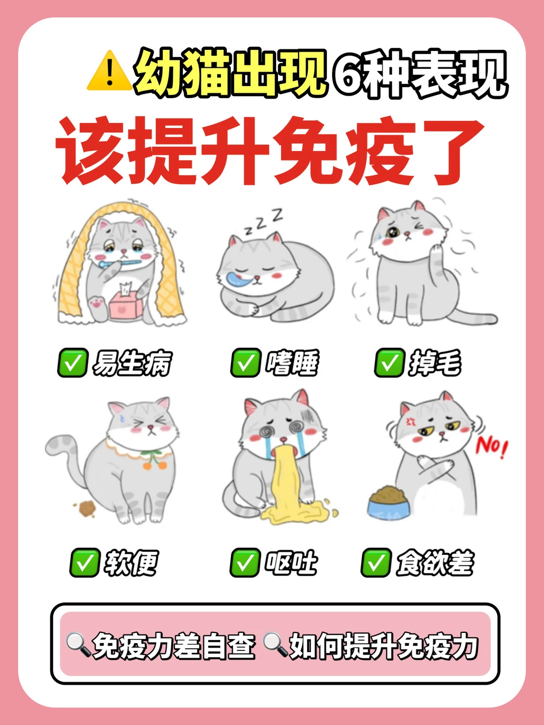 幼猫免疫力差的6种表现！你家猫中了几条？