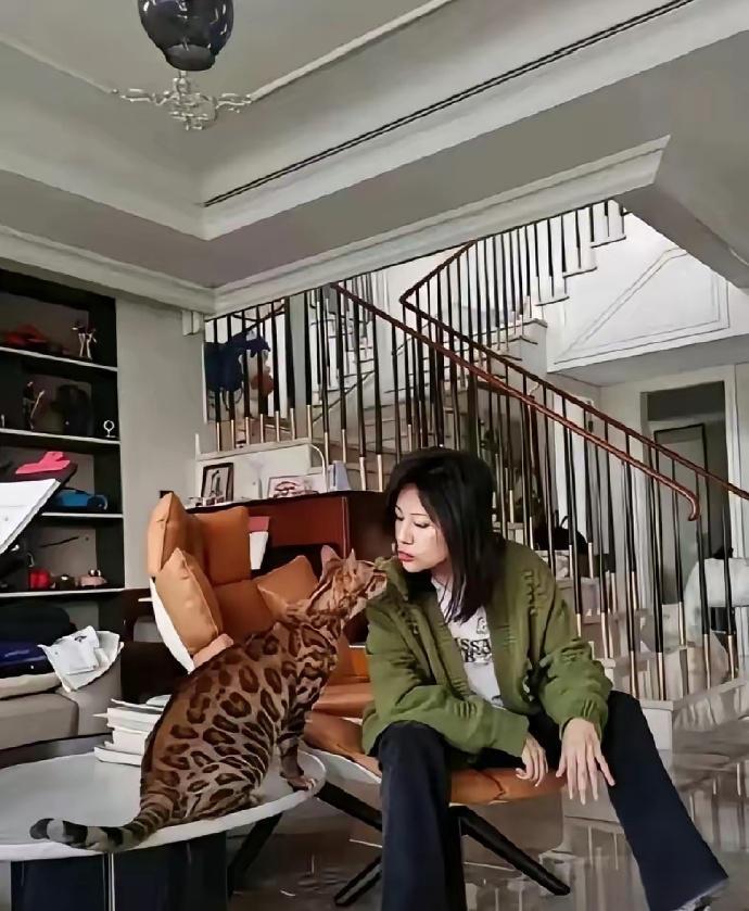 鲍蕾这女人，真不简单
刷到她的居家照，第一眼注意到的是她养的猫，颜色跟个小豹子似