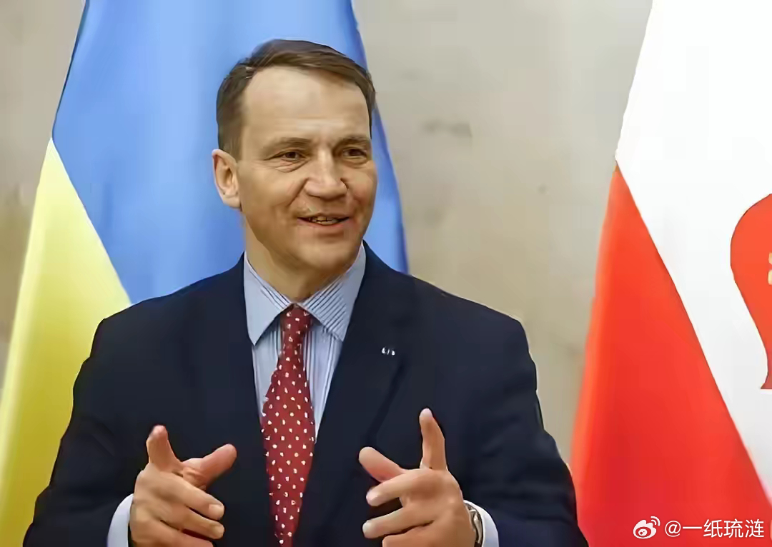 波兰这改口跟翻书似的。眼看北约和美国不支持波兰把事闹大，波兰外长西科尔斯基也及时
