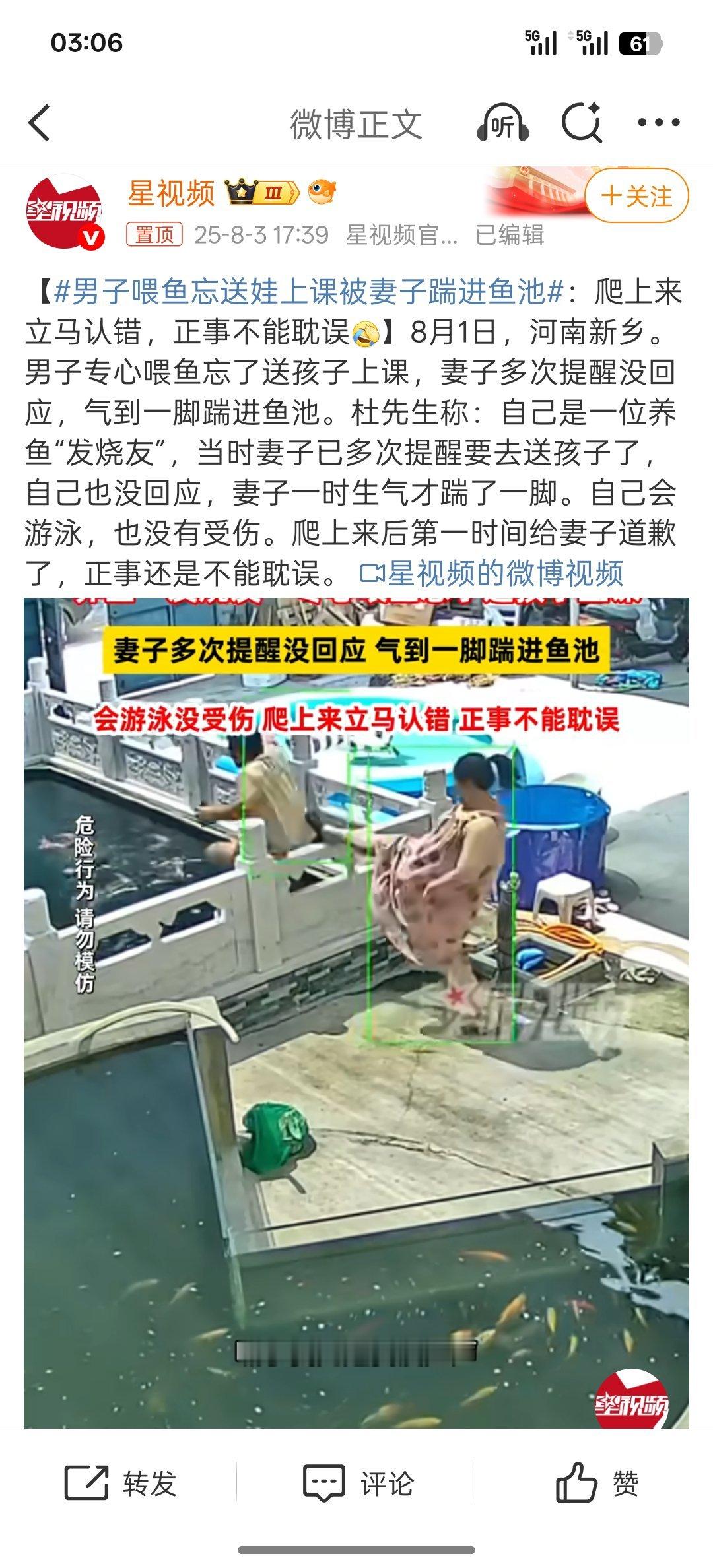 男子喂鱼忘送娃上课被妻子踹进鱼池这个是自家的大鱼池吗？既能养鱼还能游泳。[dog