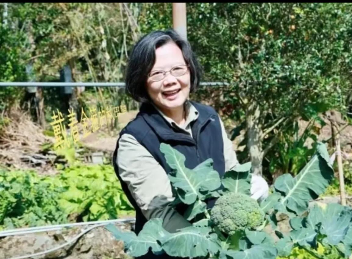 蔡英文的退休生活有点接地气，​​除了喜欢爬山、健步，还种菜、遛狗，其社交媒体里的