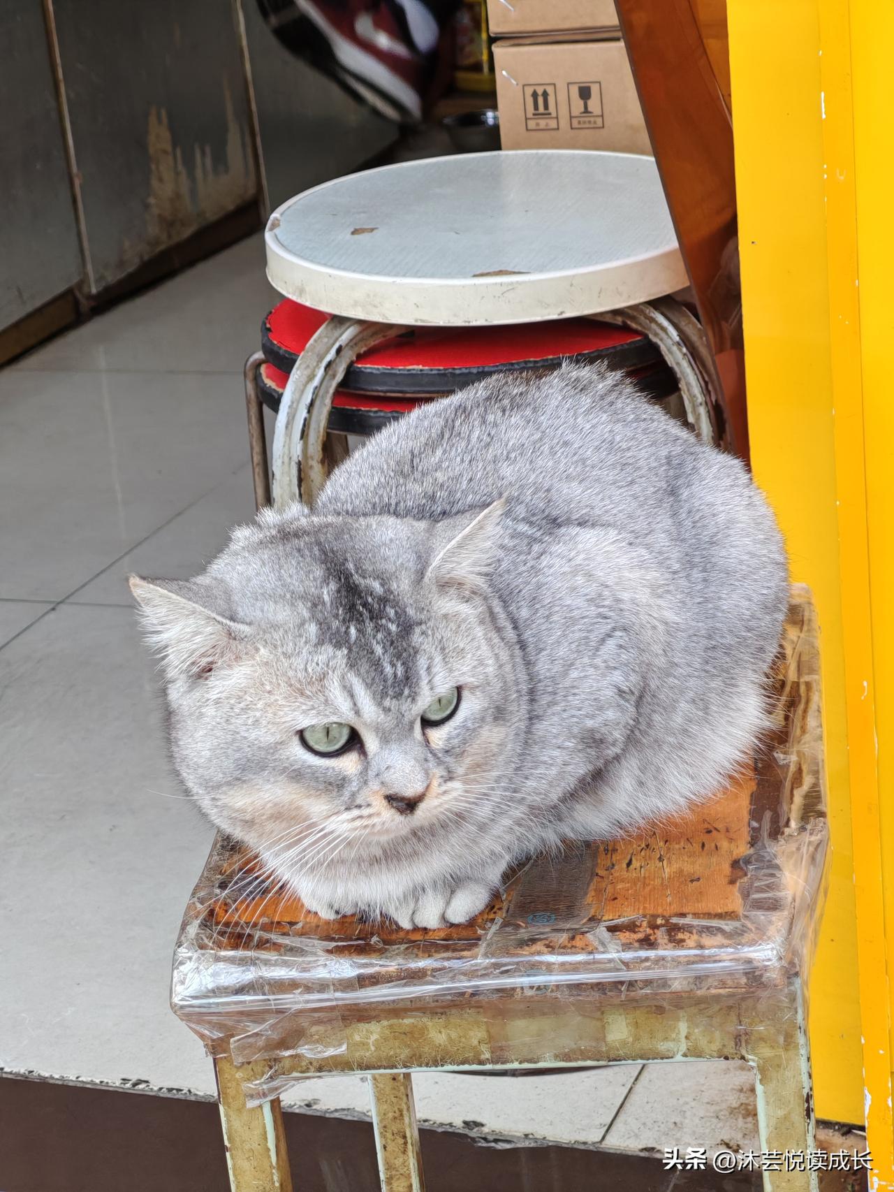 邻居一番话，听得我瞬间泪目：孩子不需要你时，别争，留份尊严给自己
 
傍晚和邻居