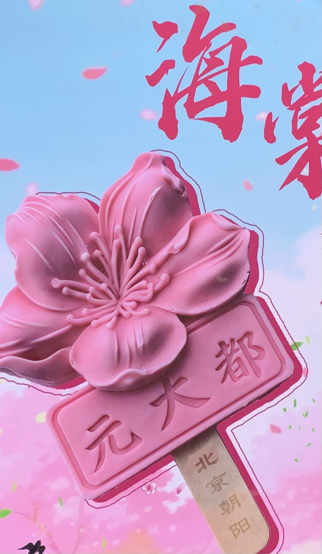 元大都公园打卡，海棠花盛开的季节，好治愈的感觉。
海棠花