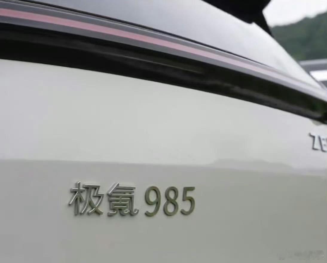 浙江多位家长把车标改为985极氪这个寓意还是很棒的，极氪谐音即刻，极氪985，都