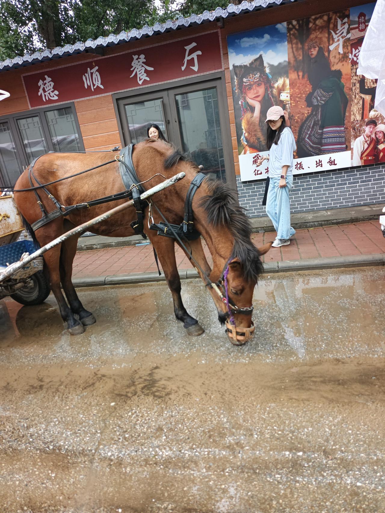 今天对自己说:累了就歇一歇，
困了就睡一会儿，
烦了就出去走走。

不必让自己天