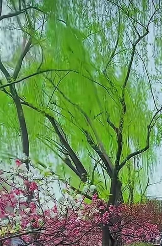 江南好。
风景旧曾谙。