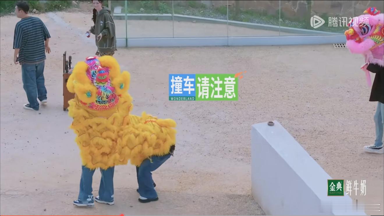 #沈月王星越舞狮##王星越王子奇舞狮沈月受伤# 沈月王星越舞狮王星越王子奇舞狮沈