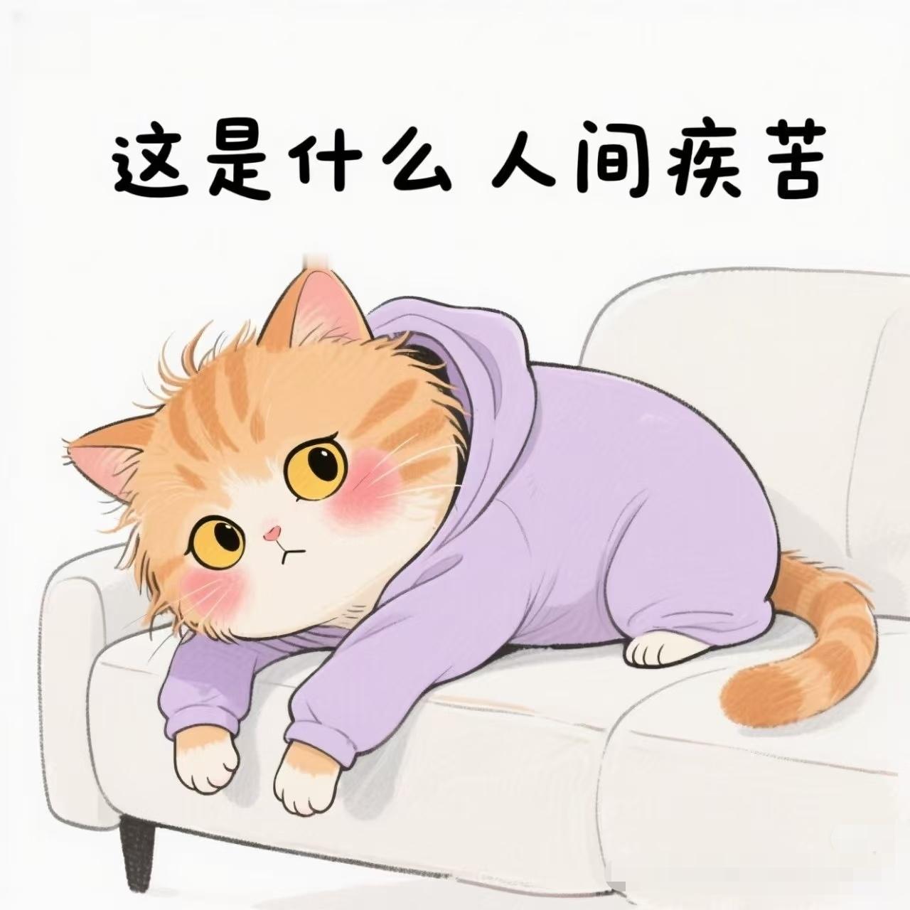 可爱的猫咪情头~日常碎片plog﻿搞笑幽默/表情包﻿/ ﻿可爱/猫咪日常﻿/头像