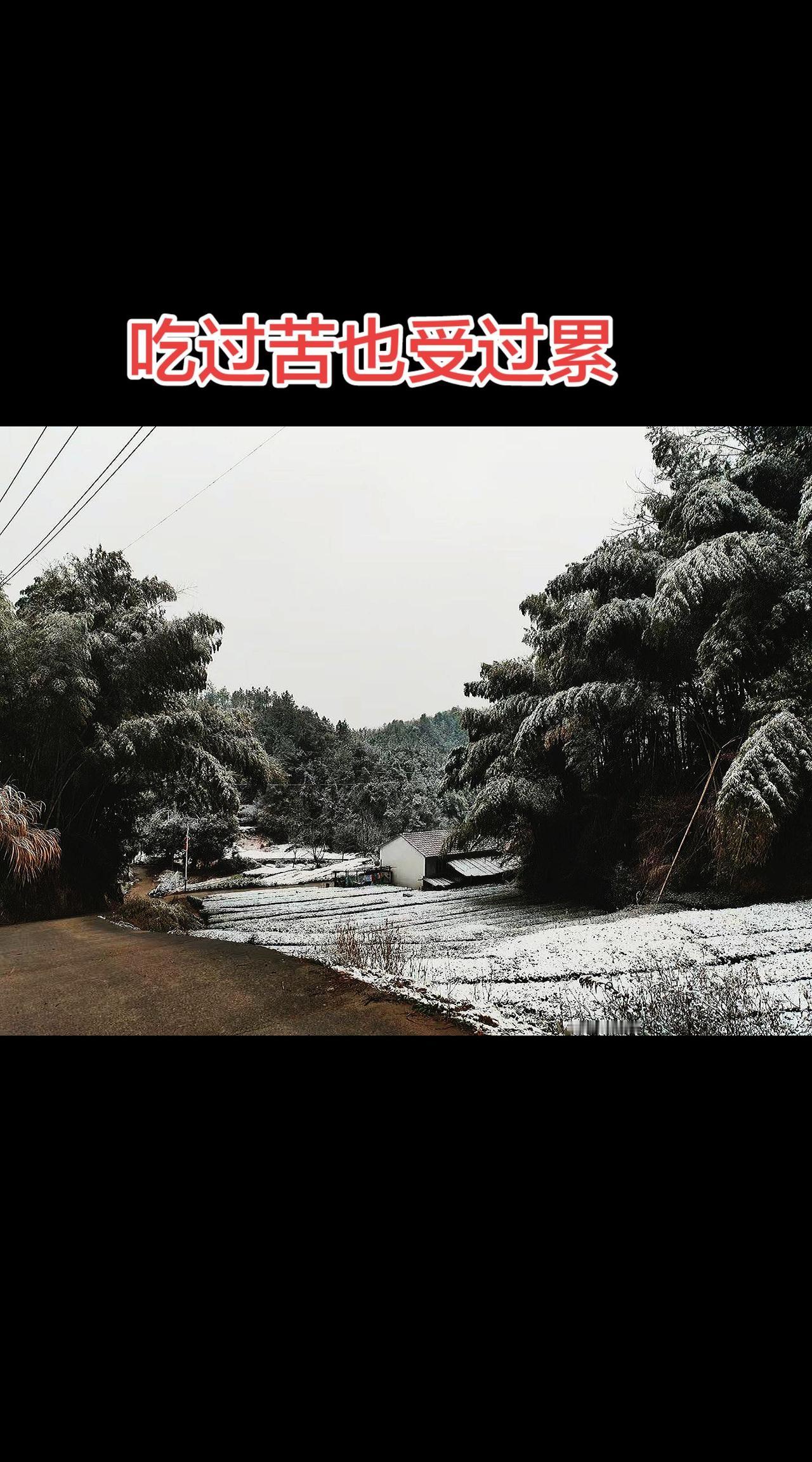 抖音玩法合伙人计划 情绪音乐玩法新风向