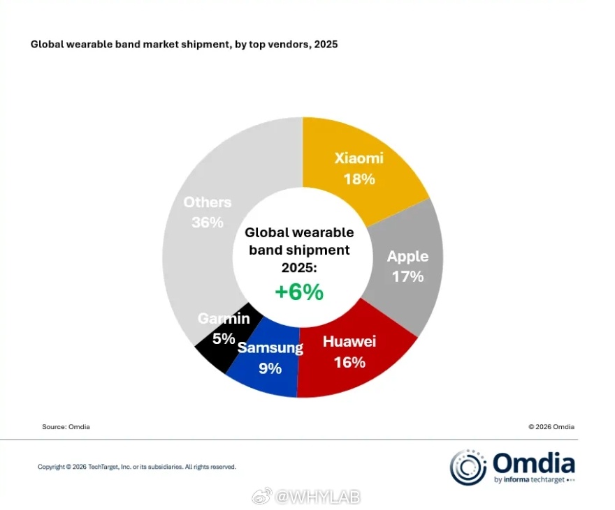 2025 全球可穿戴市场 TOP5 排名出炉，小米时隔 5 年重回第一，市场份额