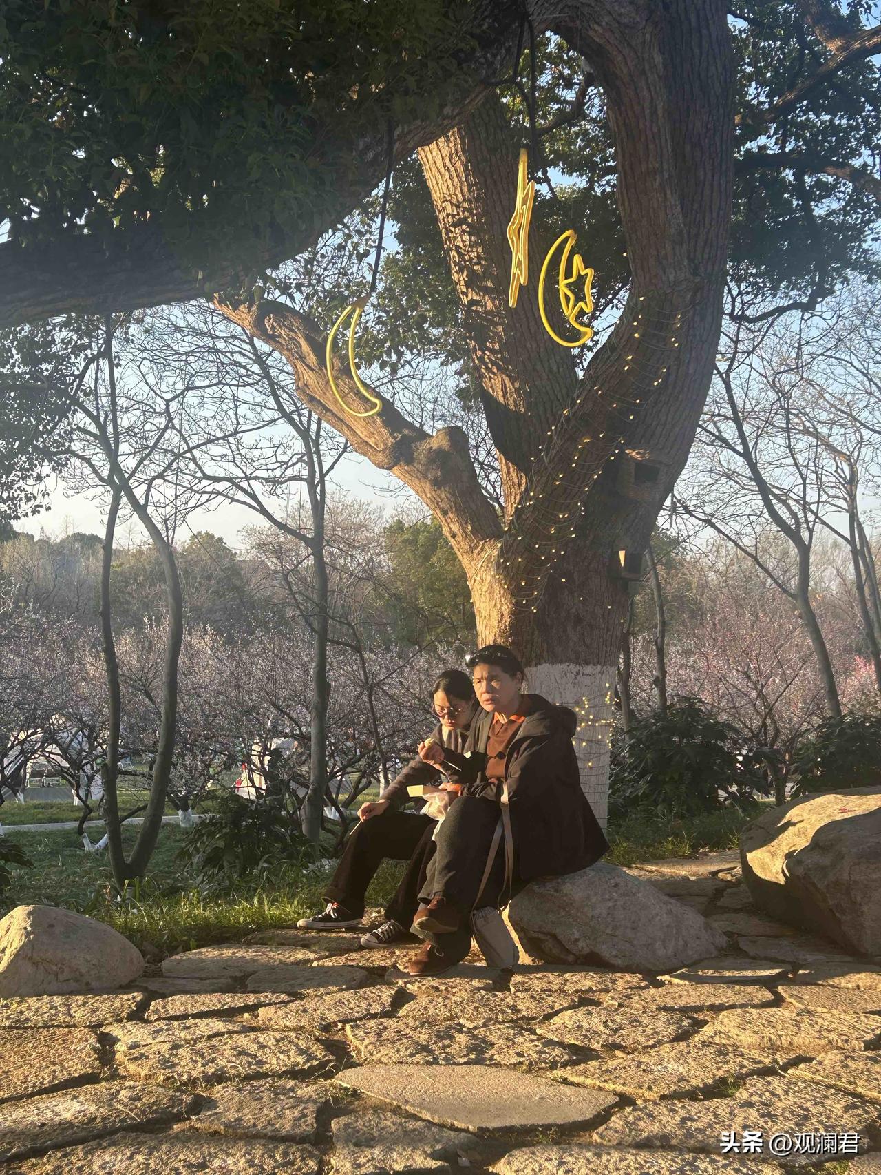 我今年 61 岁，是个老光棍，退休金 12000 元，对门住着一个离婚单身 38