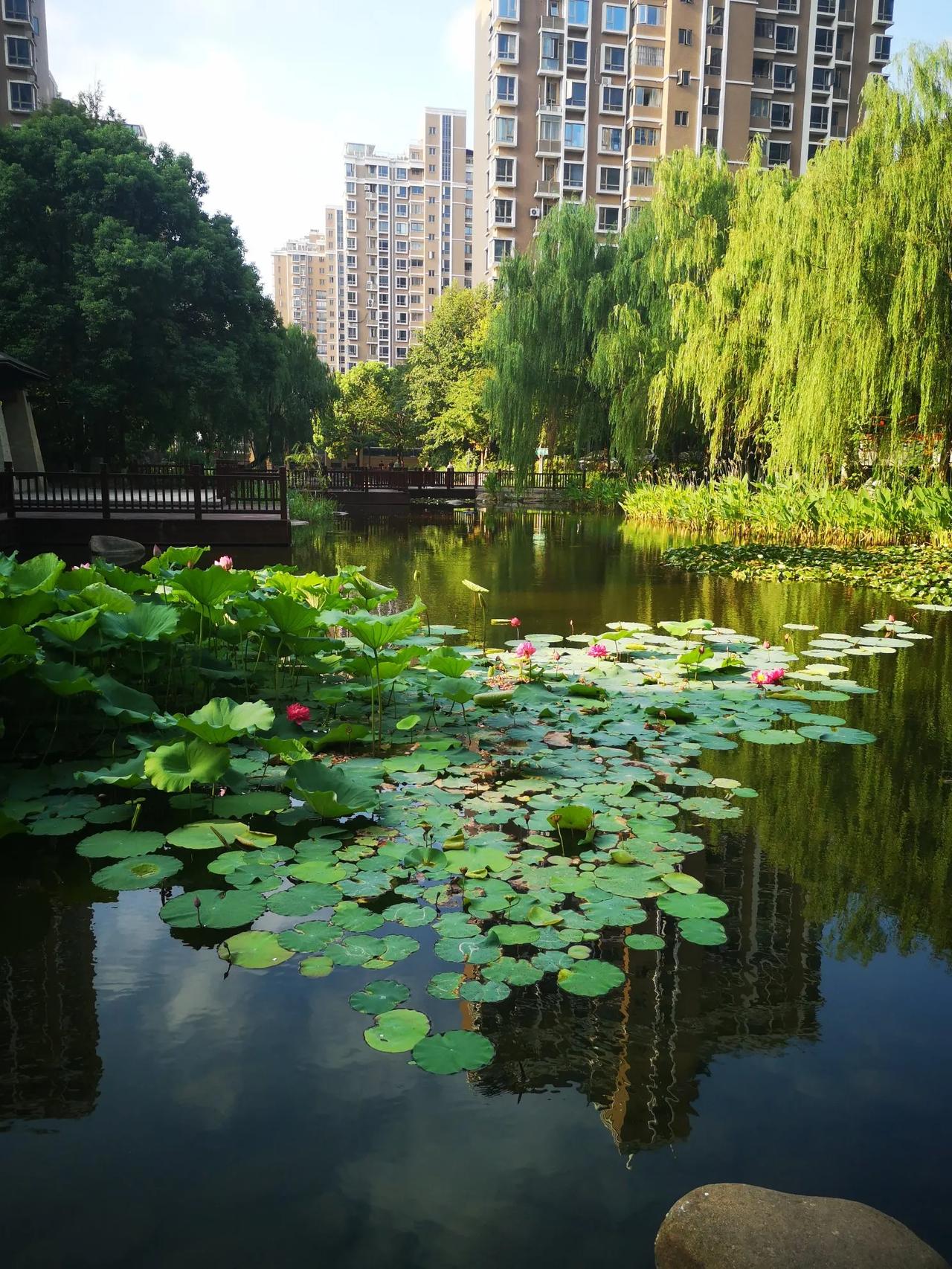 我一直以为，
舌扺上颚~
这个动作，需要特意的去练习，可我在站桩，或者打坐的时候