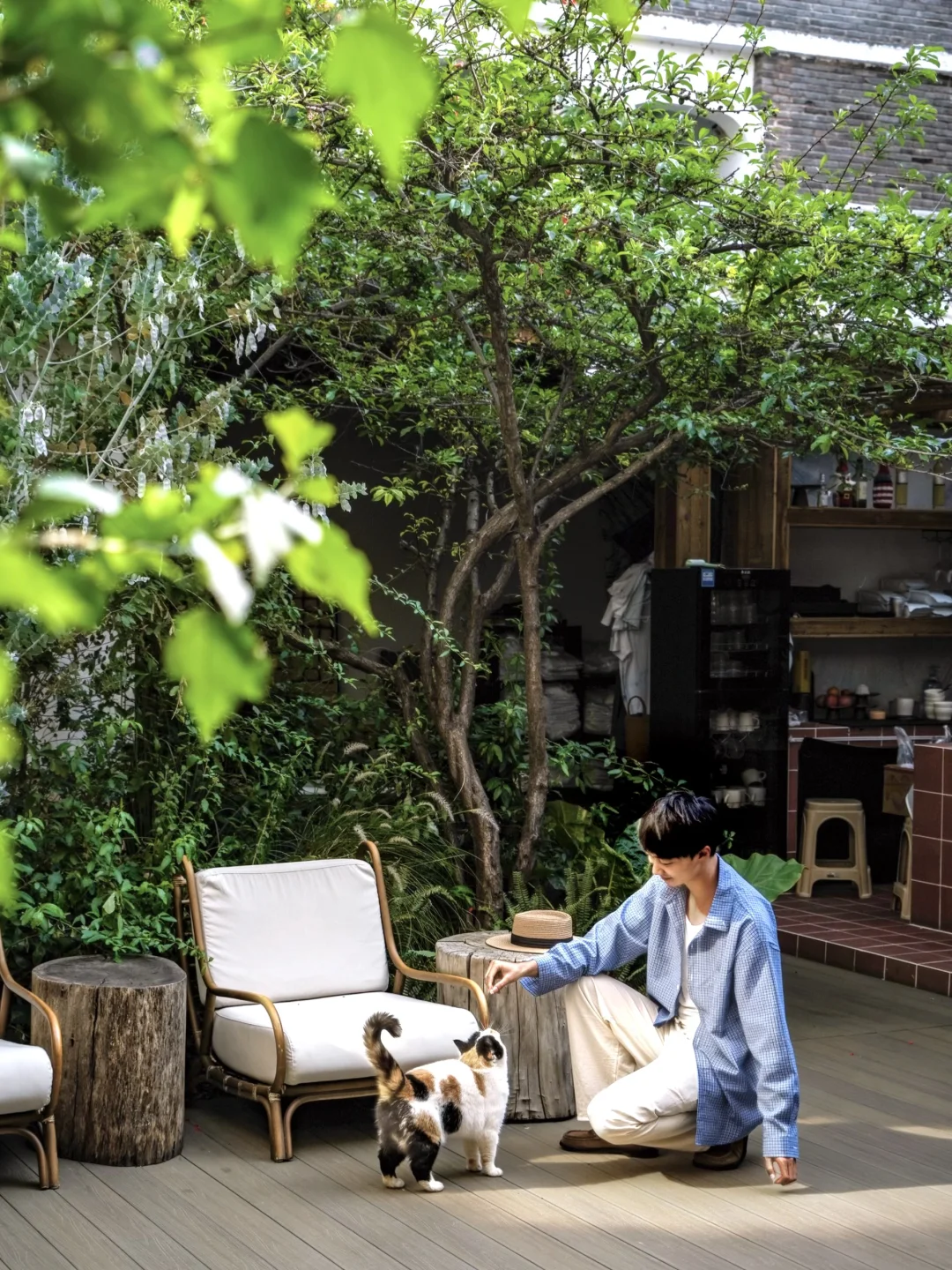 大理新开的❕我和猫咪住进"同一个院子"🐈