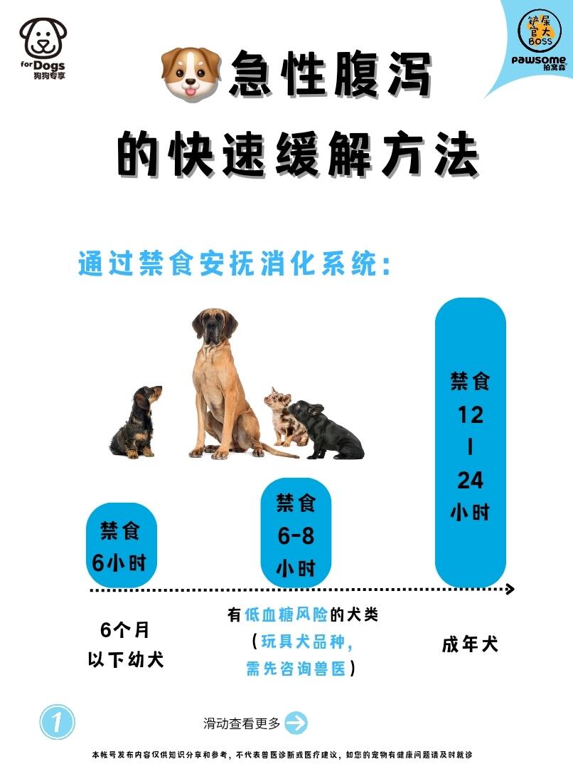 🐶急性腹泻的快速缓解方法