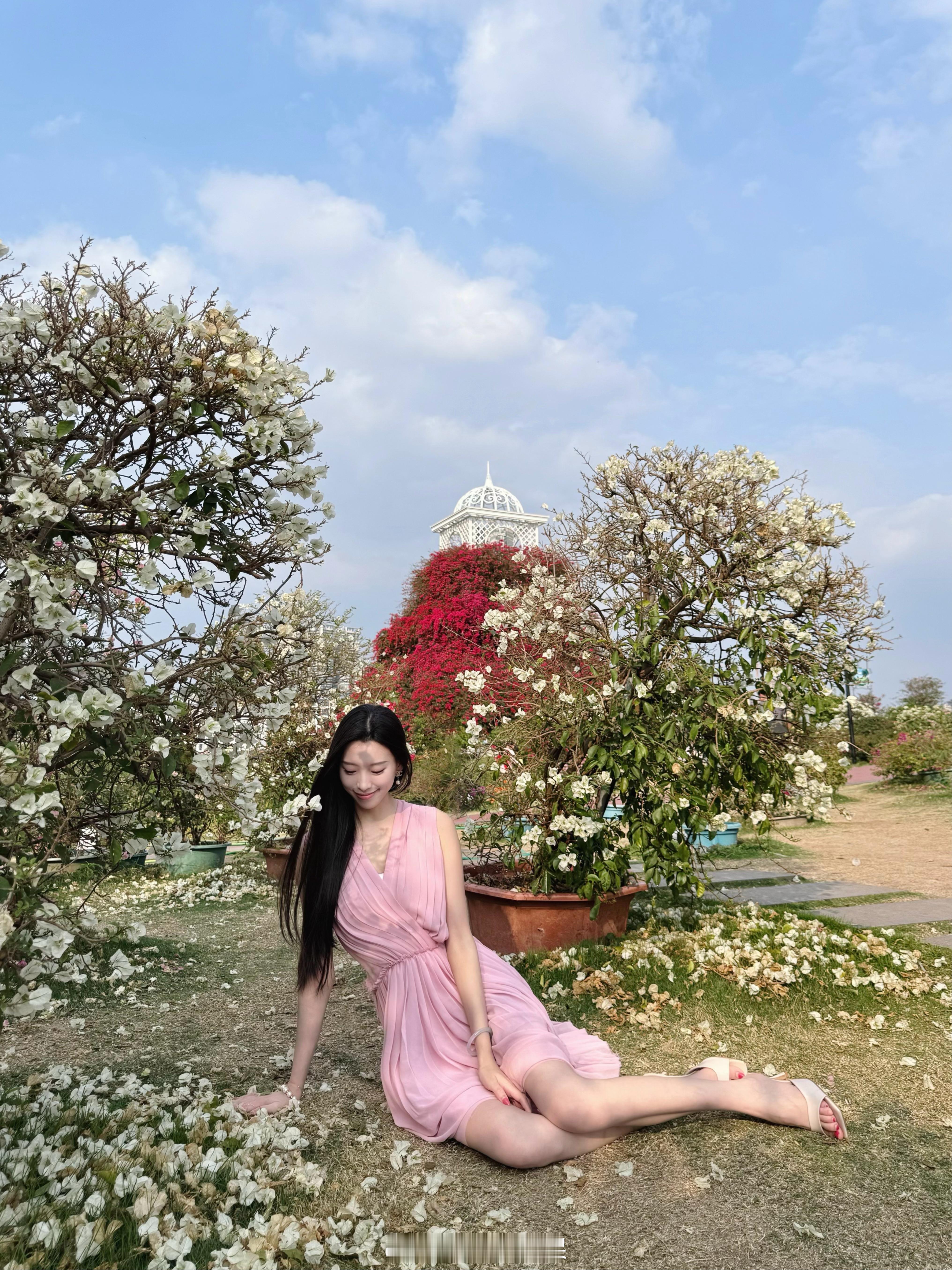 🌸 南宁