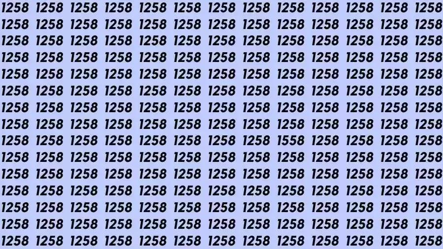 画面中密密麻麻排列着数字 “1258”，但其中藏着一个与众不同的 “1558”。
