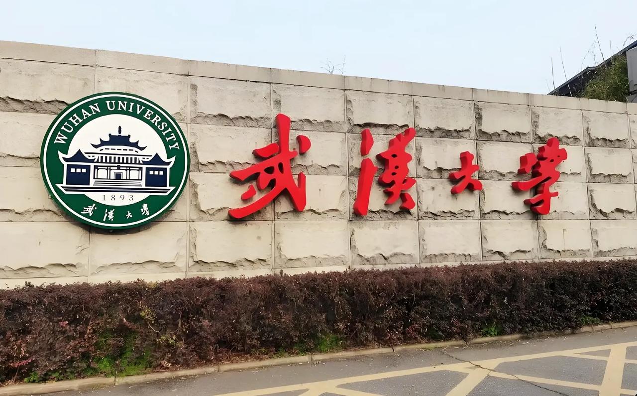 实在搞不懂？

法院都判了肖某某不构成性骚扰，

为何武汉大学还是没有撤销肖某某