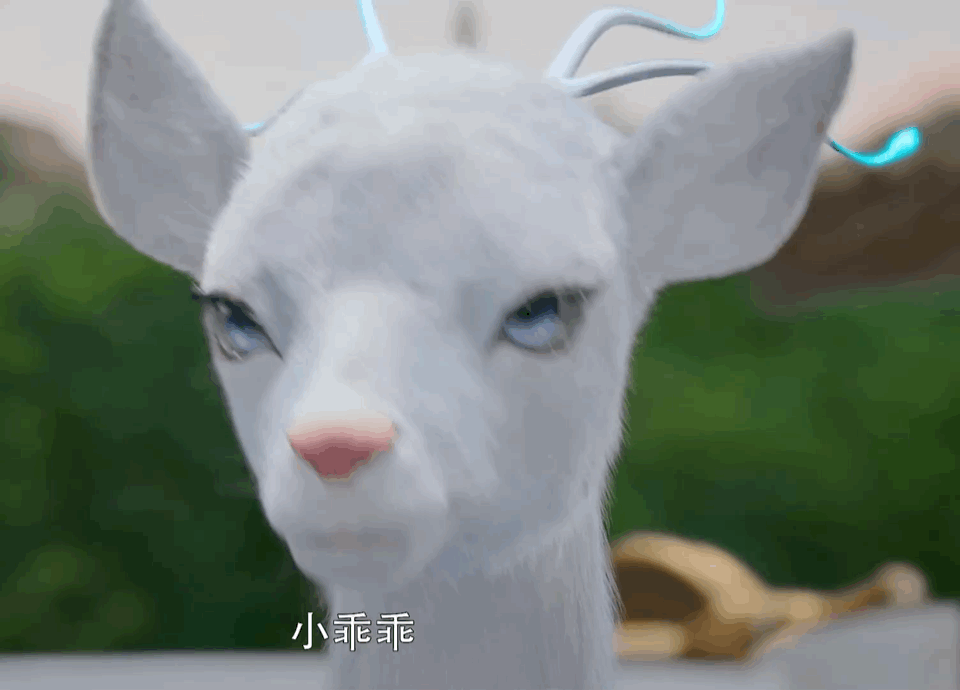 是不是很像 哈哈哈哈罗云熙
