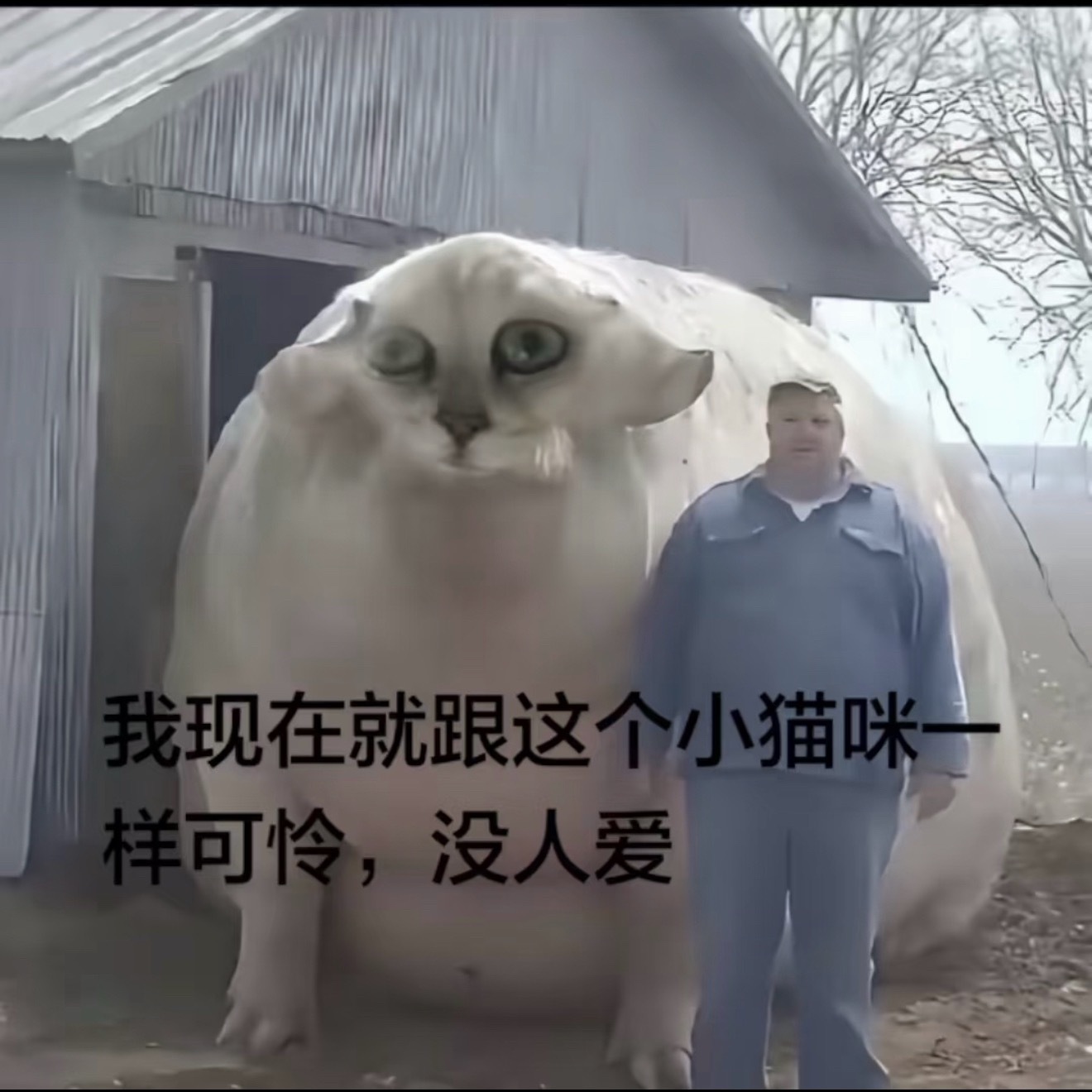 每天都过着一样的生活呀什么都没发生(´-ω-`) 