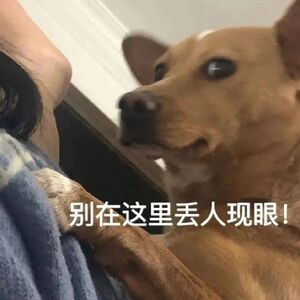 冷知识:中国假唱是违 法的，所以…你觉得五月天会凉吗？#官方回应五月天被质疑假唱