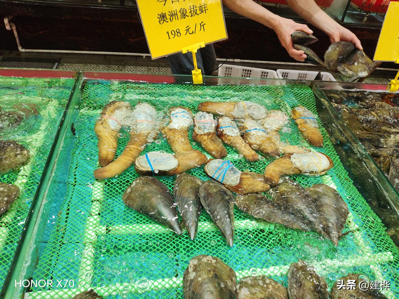 今天端午节在广东佛山南海区桂城街道紫金城滋味浓大排档吃晚饭，这大排档人山人海座无
