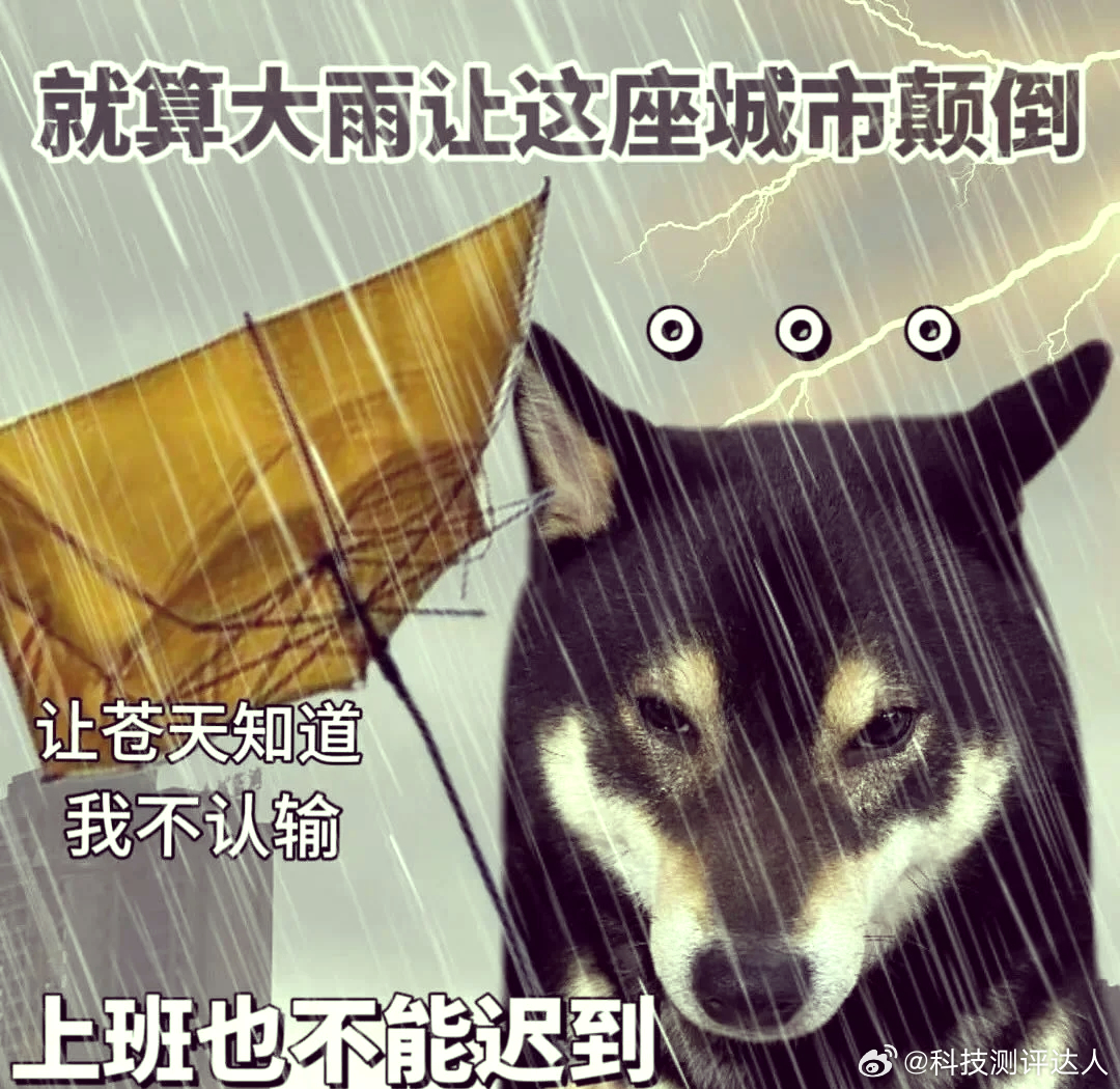 白海豚 上班暴雨还可以接受，主要有大风，听说浙江都有15级，这要是还上班就没道理
