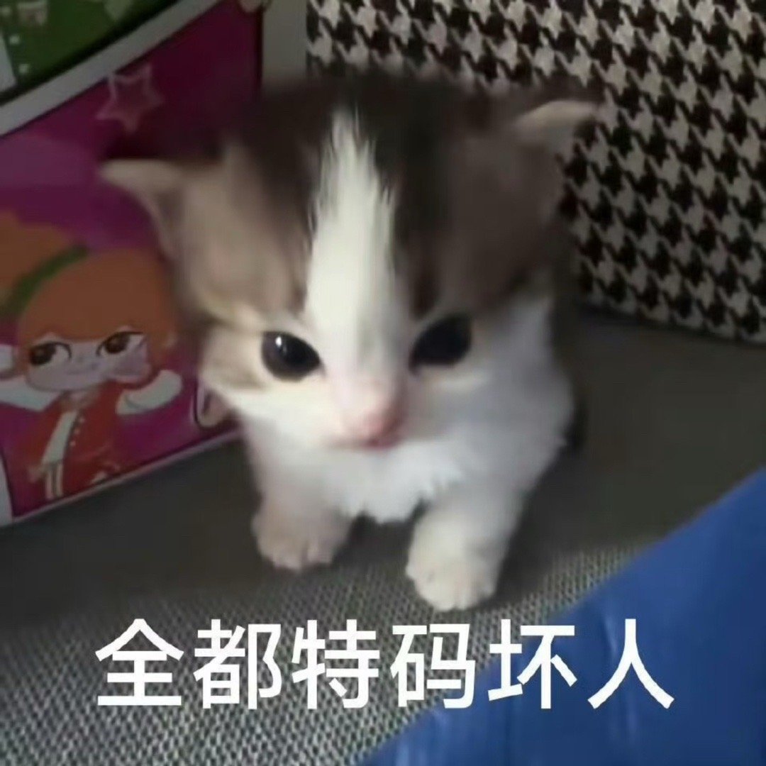 我授权的视频发给我反馈🔗后虽然我可能不会再回一条，但是内容我都会看偷偷用我的视
