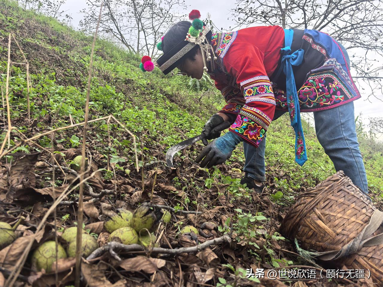 漾濞，这个名字听起来就如溪流般清澈悦耳。它的确源于水——