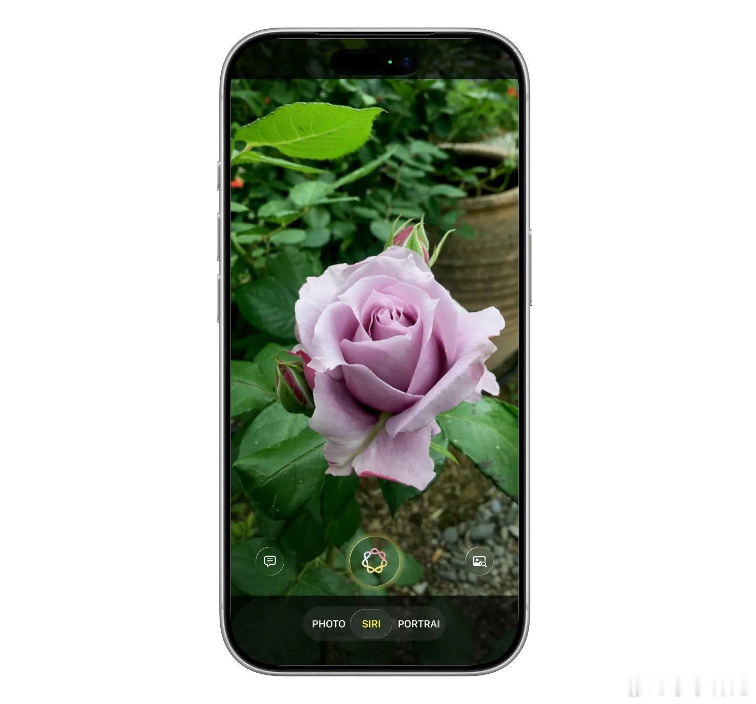 iOS27全新Siri界面曝光在iOS27中，Siri也上岛了，效果很酷，使用体