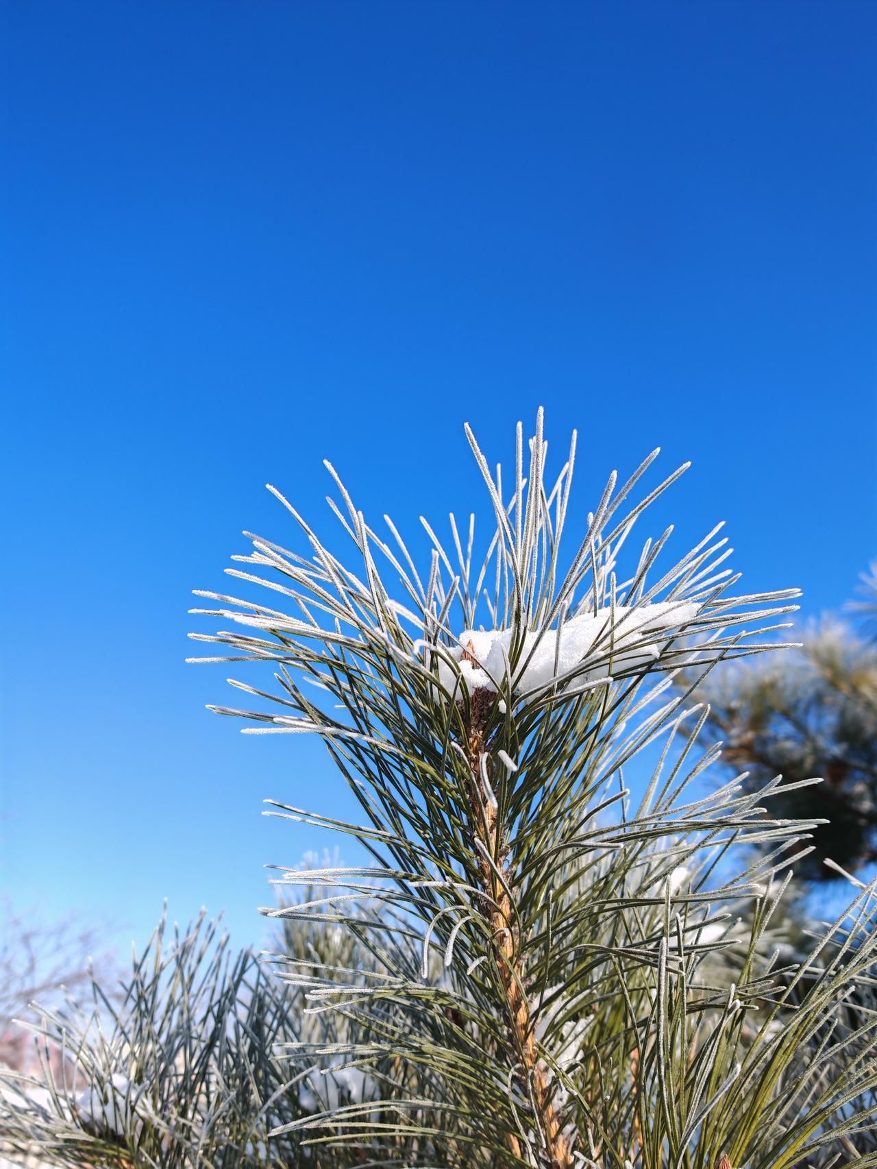 与痛风斗争的历程76
 
   清晨醒来，天朗气清，新一周的序幕悄然拉开。浑身关