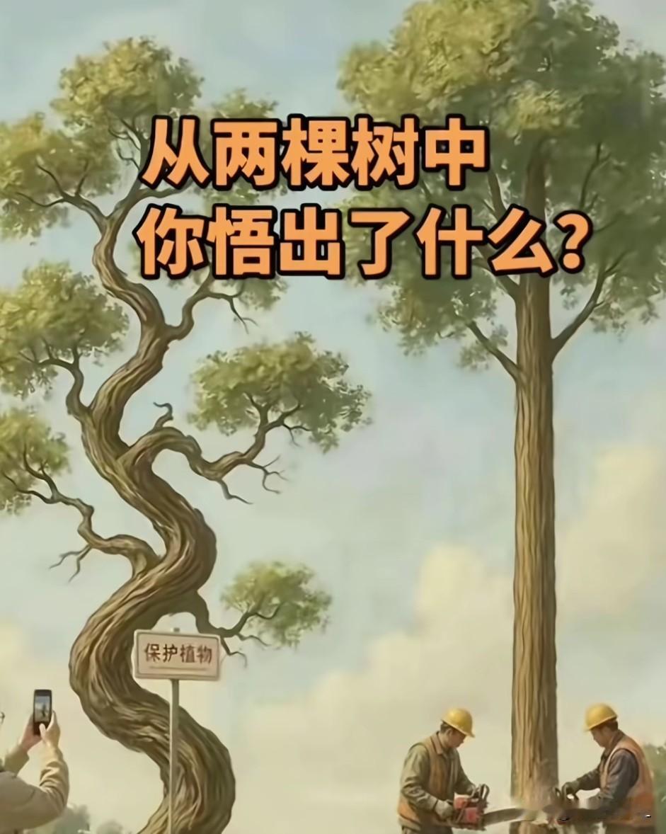 这幅图你看懂了什么道理？