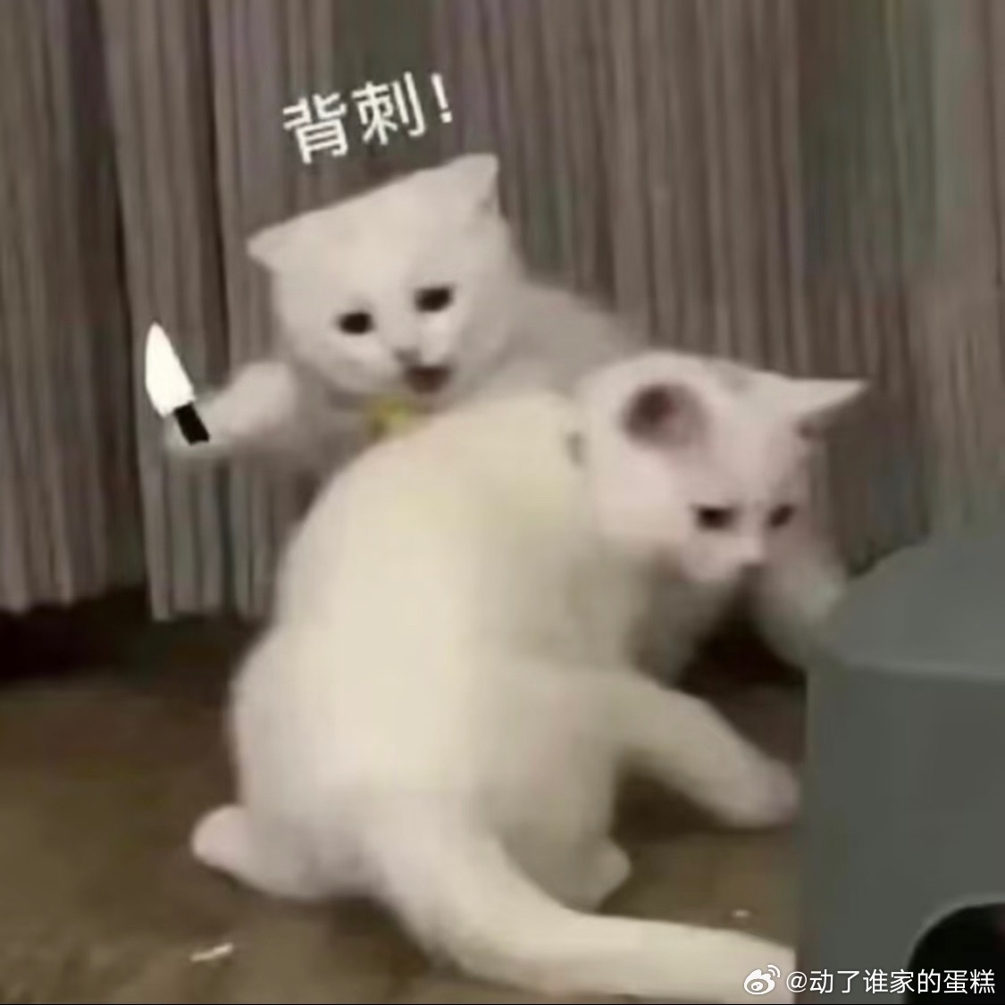 曝飞天奖视帝视后爆冷不是，飞天奖视帝不给于和伟，于叔怎么看[收到] ​​​