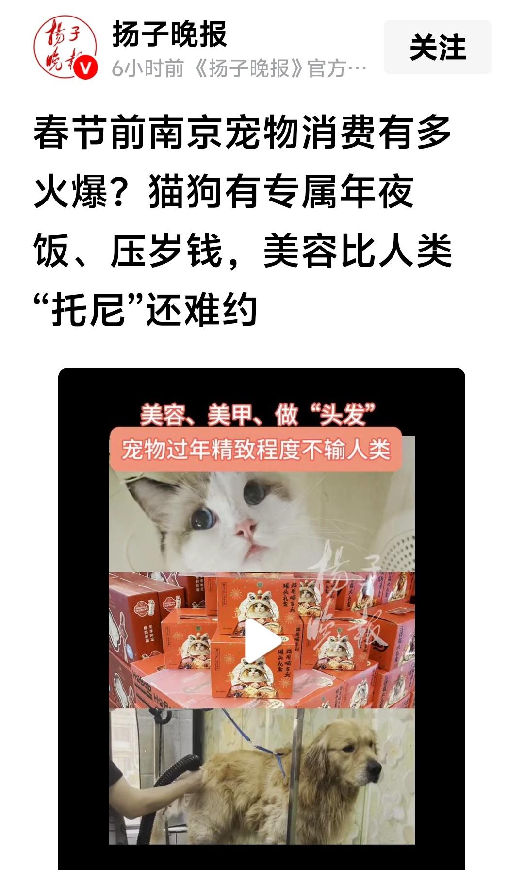 六朝古都成为猫狗天堂，是否好的变化？
南京的媒体报道，春节前，南京宠物消费火爆。