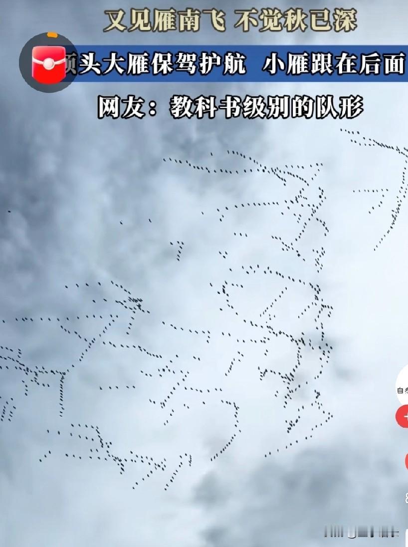 秋天来了，大雁往南飞，一会儿排成人字形，一会儿排成从字形，一会儿排成众字形，一会