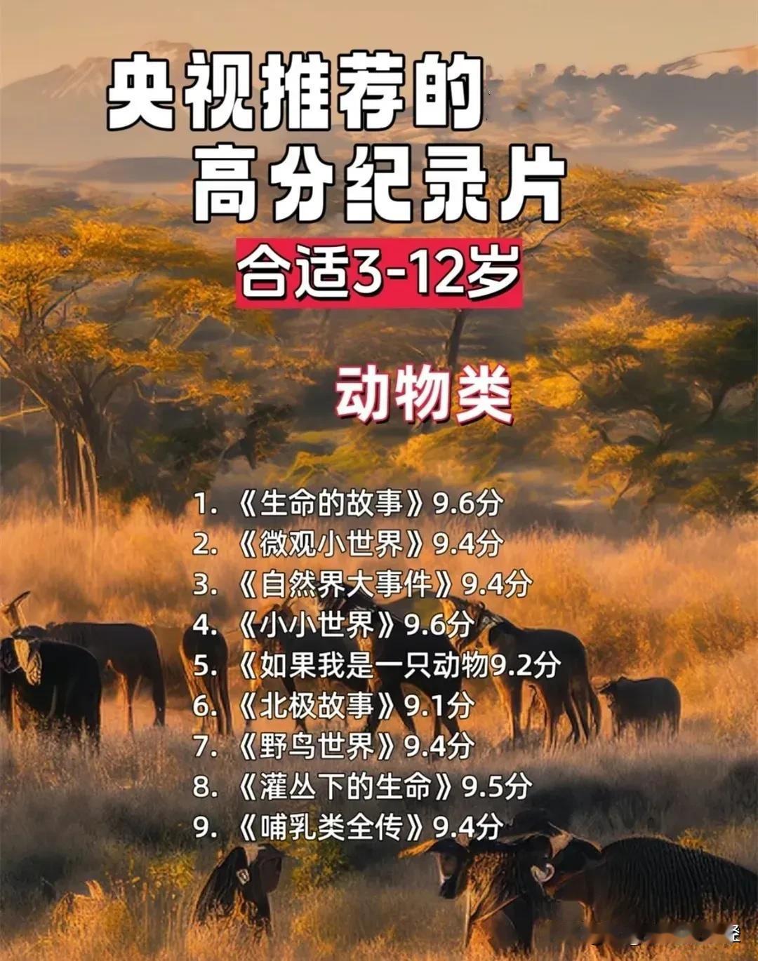 我发现了个同事不按套路的方法，居然悄悄的陪娃看纪录片两年了，终于见识到同事的高明
