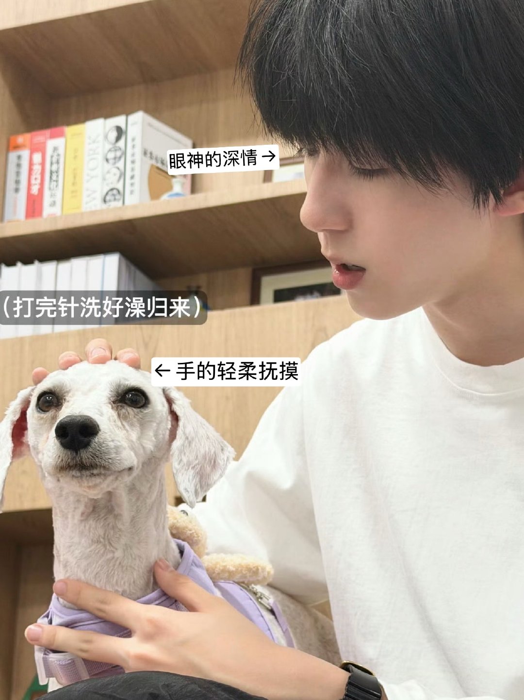 不仅十一看到嫉妒了，很多人看到都想：can i be your dog