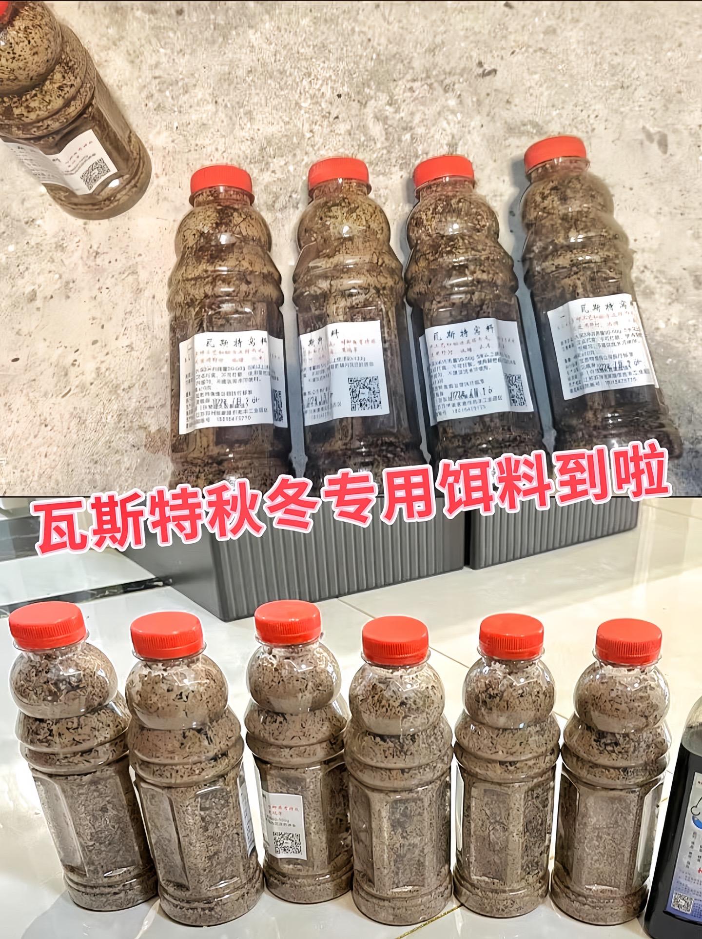 哥哥们，给你们分享一款超棒的秋冬打窝料——瓦斯特窝料。在秋冬季野钓，这...
